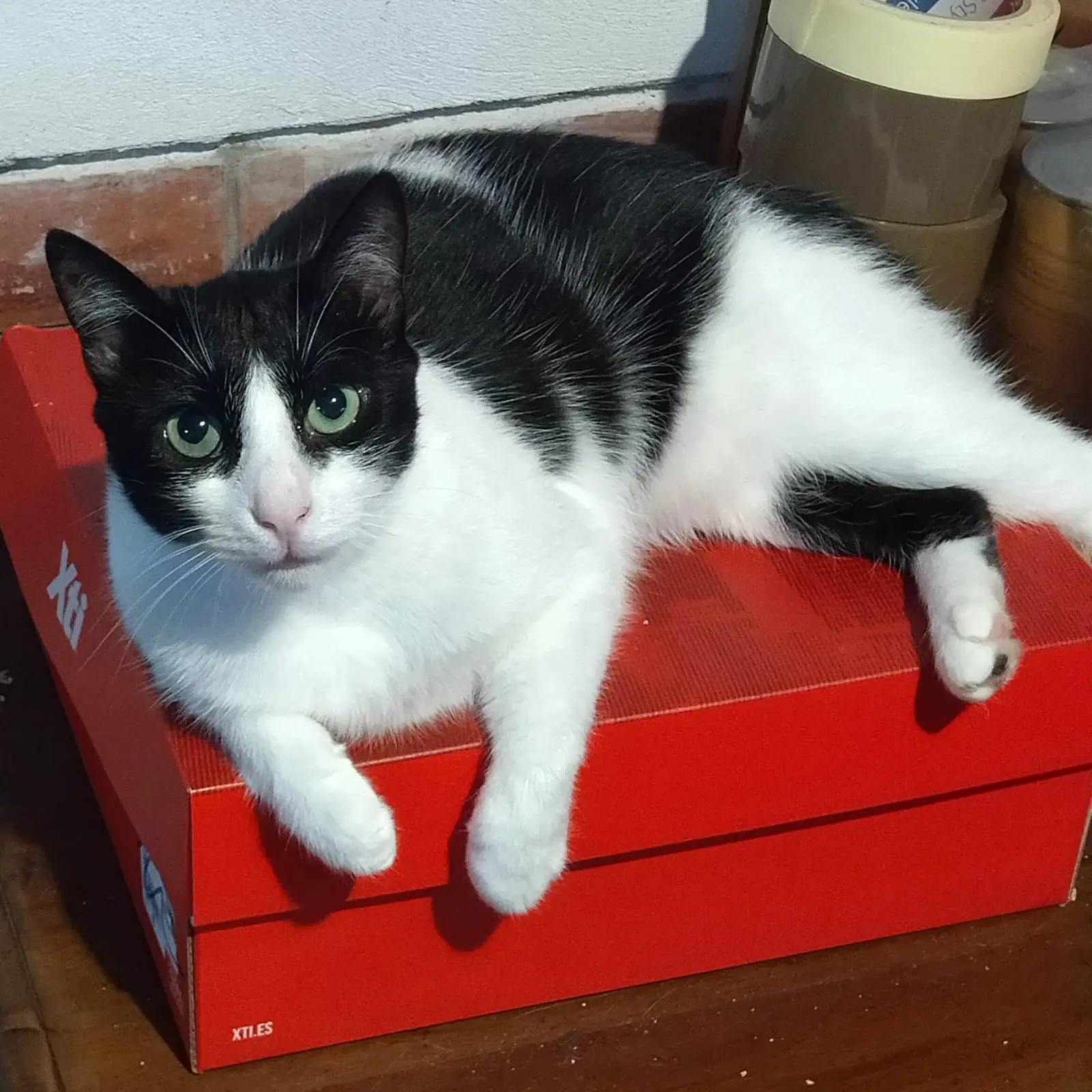 Sfondo foto Smeralda